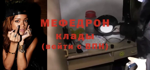 индика Бронницы